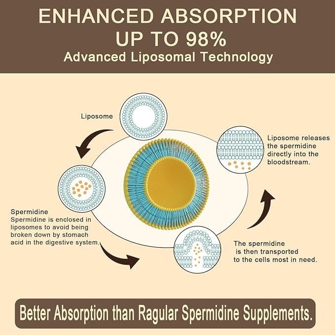 Spermidine Supplement 15 MG - 99% Purity, High Absorption, 1500 mg Fermented Wheat Germ Extract with Zinc & Thiamin, Spermidine for Men & Women - Cellular Renewal, Aging Defense, Energy, 120 Softgels