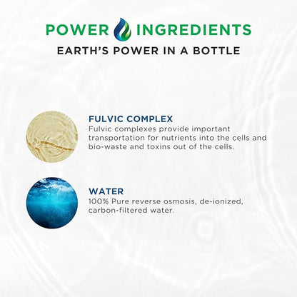 Electrolyte Imbalance Solution | BEAM Minerals Electrolyze | Gold Standard Electrolytes Replenishment | Electrolyte Supplement Liquid | Fulvic Acid Trace Mineral Micronutrients Supplements | Ketogenic