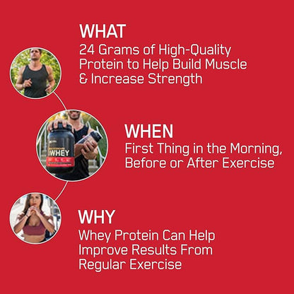 Optimum Nutrition Gold Standard 100% Whey Protein Powder, Double Rich Chocolate, 1 Pound