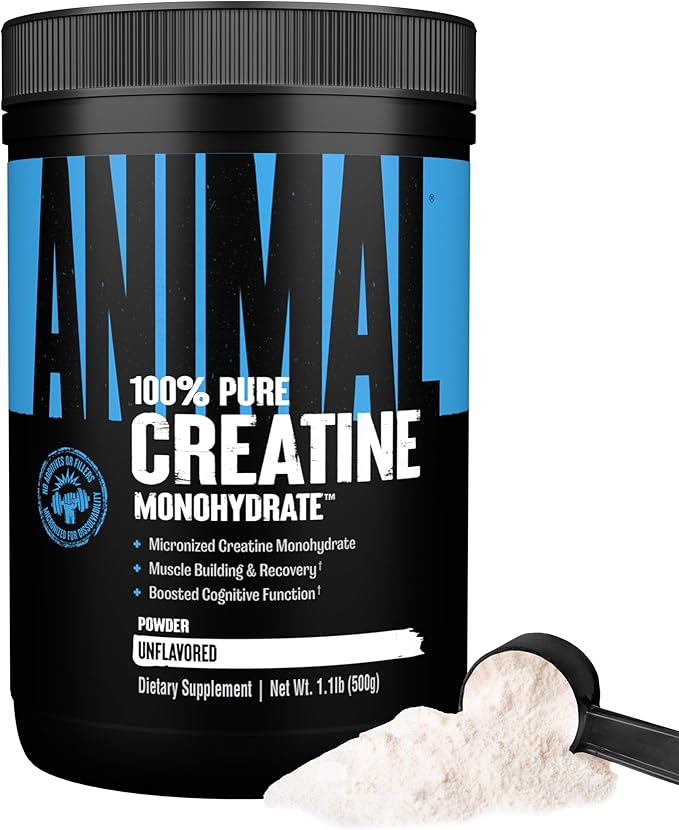 Animal Micronized Creatine Monohydrate Powder - Delays Muscle Fatigue, Supports Muscle Growth, Endurance, ATP Production, Cognitive Function, Strength, and Recovery for Men & Women - Unflavored, 500g