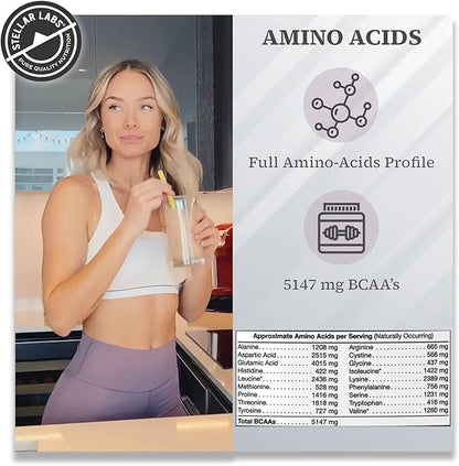 Stellar Labs Whey Protein Powder with BCAA's & Whey Isolate | Certified Low FODMAP, Non GMO, Gluten Free, Soy Free, Low Carb, Keto, with Stevia | All Natural Lean Post Workout Shakes | Vanilla