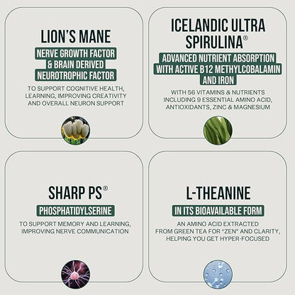 Orlo Focus & Memory Gummies – Nootropic Supplement for Adults with Lion’s Mane, L-Theanine, Phosphatidylserine, Spirulina, Vitamin B6 & B12 Methylcobalamin (60 Gummies)