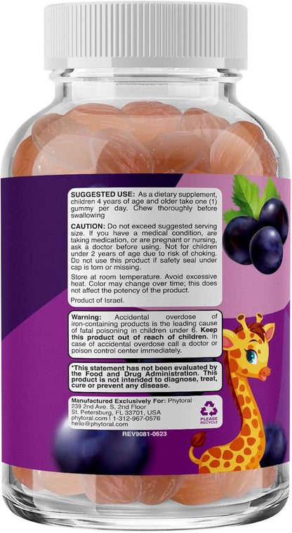 Multivitamin with Iron Gummies for Kids - Chewable Iron Gummy Vitamins for Kids Focus Aid and Natural Energy Supplement - Kids Gummy Vitamins with Iron for Immune Support Mental Clarity and Focus