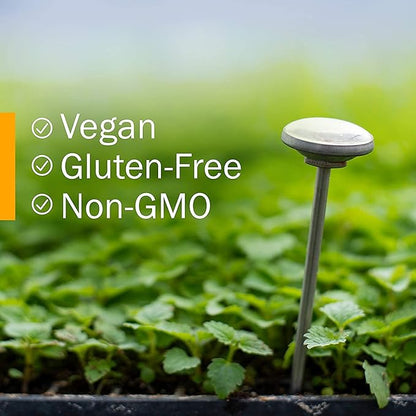 Herb Pharm Black Walnut Liquid Extract for Cleansing and Detoxifying - 4 Ounce