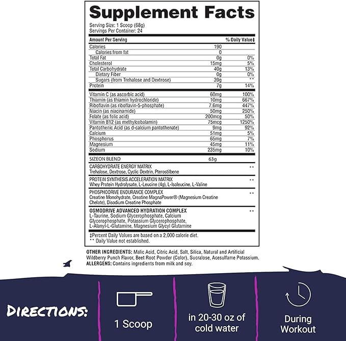 Gaspari Nutrition SizeOn, The Ultimate Hybrid Intra-Workout Amino Acid & Creatine Formula, Increased Muscle Volume & Muscle Recovery (3.59 Pound, Grape Cooler)