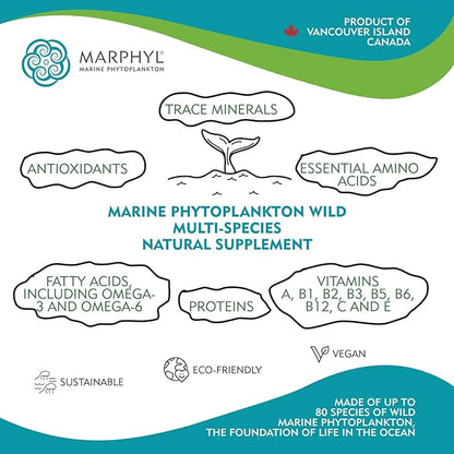 MARPHYL Marine Phytoplankton Wild Multi Species Natural Supplement - 150 mg per Capsule - Organic - 30 Vegan Capsules - from Vancouver Island, Canada