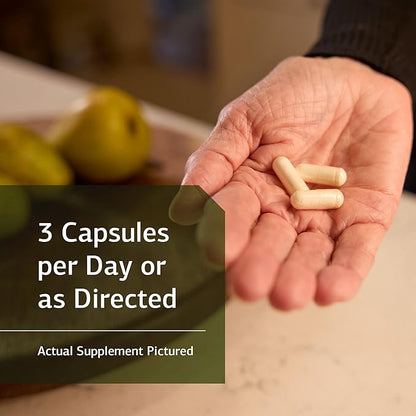 Standard Process A-C Carbamide - Gluten-Free Kidney Support Supplement with Vitamin A, Vitamin C, and Arrowroot Flour - 90 Capsules