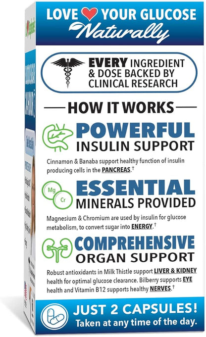 Dr. Stephanie's Bundle Pack - 24 Hour Support + Carb & Sugar Blocker - Daily Supplement