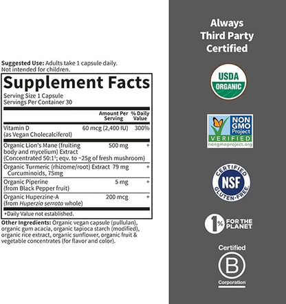 Garden of Life Brain Health Supplement with Organic Lion’s Mane & Turmeric, Non-GMO, Gluten-Free, Mint Flavor - For Memory, Focus & Healthy Brain Function