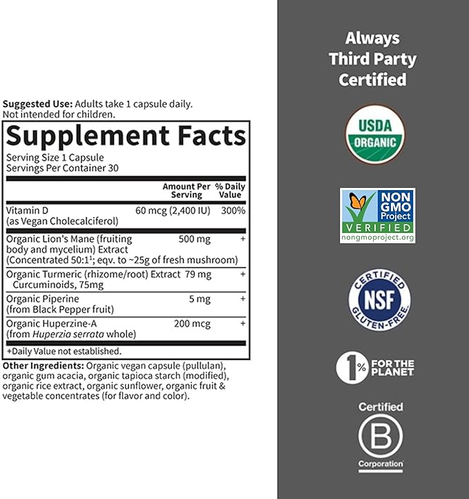 Garden of Life Brain Health Supplement with Organic Lion’s Mane & Turmeric, Non-GMO, Gluten-Free, Mint Flavor - For Memory, Focus & Healthy Brain Function