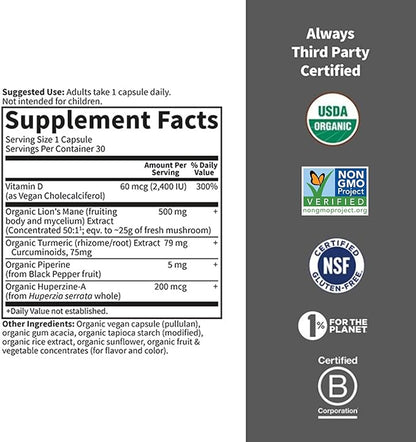 Garden of Life Brain Health Supplement with Organic Lion’s Mane & Turmeric, Non-GMO, Gluten-Free, Mint Flavor - For Memory, Focus & Healthy Brain Function