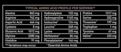Premium Multi Collagen Peptides Protein Powder (1, 2, 3, 5 & 10) with Vitamin C, Biotin, Hyaluronic Acid, for Hair Skin and Nails - Marine, Bovine, Chicken & Eggshell (Chocolate, 45 Servings)