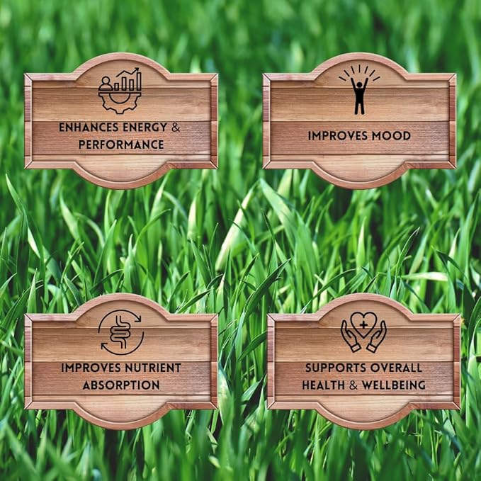 Primal Being Grassfed Beef Organ Complex - Liver, Heart, Pancreas, Spleen, & Kidney- Supports Overall Health & Performance - 180 Capsules, 3000mg per Serving