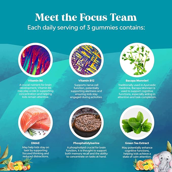 Vegan Brain Focus Gummies for Kids - Kids Focus Supplement with Phosphatidylserine Bacopa Monnieri Green Tea Extract and More Focus Vitamins for Kids Mood Concentration Energy and Focus (2 Pack)