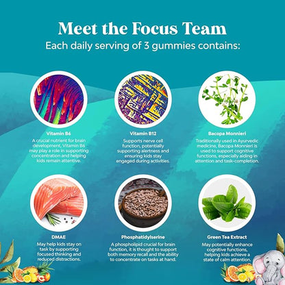Vegan Brain Focus Gummies for Kids - Kids Focus Supplement with Phosphatidylserine Bacopa Monnieri Green Tea Extract and More Focus Vitamins for Kids Mood Concentration Energy and Focus (2 Pack)