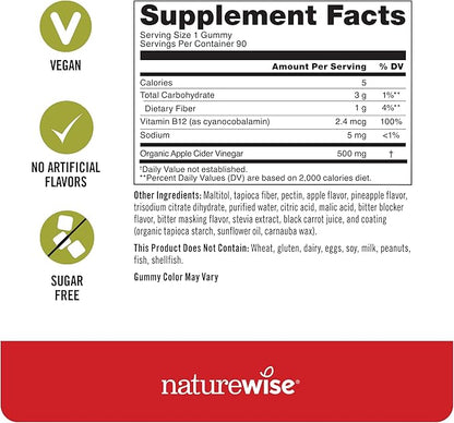 NatureWise Apple Cider Vinegar ACV Gummies - 1000mg ACV per 2, Sugar Free, Vegan - Energy & Gut Health - ACV Gummies W/Vitamin B12-90 Gummies[1.5-Month Supply for 1000mg / 3-Month Supply for 500mg]