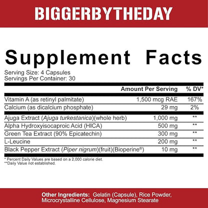 5% Nutrition Rich Piana BiggerByTheDay | Anabolic Muscle Builder, Hardcore Mass Gainer | Turkesterone, HICA, Epicatechin, Leucine | 120 Capsules (30 Servings)