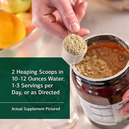 Standard Process SP Detox Balance Chai - Gluten-Free Detox Cleanse Formula with Magnesium, Iron, Creatine, Protein, arginine, Monk Fruit Extract, l-leucine, Choline, Potassium - 10-Day Program Kit