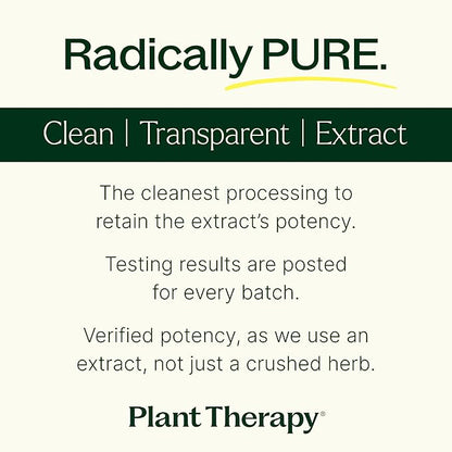 Plant Therapy Beet Root Herbal Supplement Capsules, Boosts Stamina & Fights Fatigue, Great for Muscle Recovery & Cardiovascular Health, 120 Vegetarian Capsules (4 Month Supply), Made in The USA