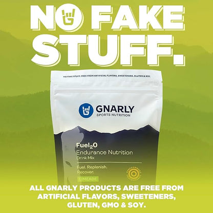Gnarly Nutrition Fuel2O Electrolyte Powder Packs - Fuel 2O Endurance Nutrition, Electrolyte Solution, Fuel, Replenishment, and Recovery - Limeade, 10-Pack