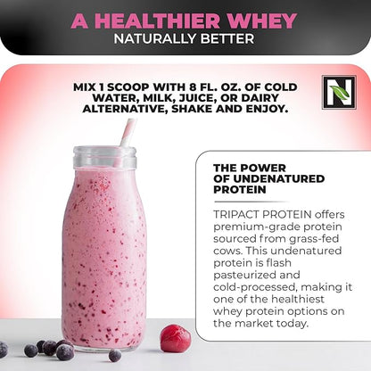Nutrology TRIPACT Protein Powder, Superberry 7-in-1 Meal Replacement Shake with Grass Fed Whey Protein Powder, Greens, Probiotics & BCAAs, 40 Servings