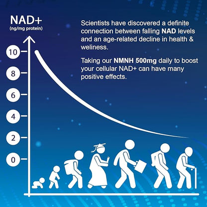 NMNH (Dihydronicotinamide Mononucleotide), NAD Supplement to Boost NAD+ Levels as We Age (May Be More Effective Than Nicotinamide Riboside), 500mg Per Serving - 240 Count (240 Servings)