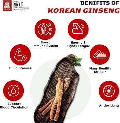 CheongKwanJang Korean Red Ginseng Extract Capsules Gold Panax Ginseng Root Powder Focus Pills for Men & Women, Natural Energy, Circulation, Immune, Brain Booster - 100 Capsules