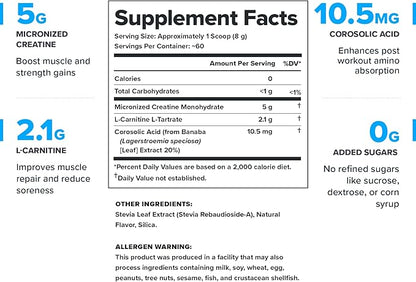 LEGION Recharge Post Workout Supplement - All Natural Muscle Builder & Recovery Drink with Micronized Creatine Monohydrate Naturally Sweetened & Flavored (Unflavored, 60 Servings, Pack of 1)