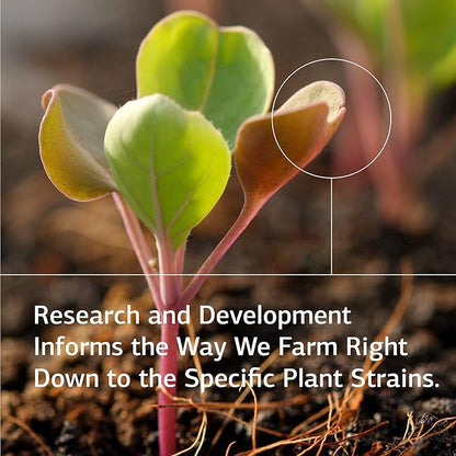 Standard Process Zinc Complex - Immune Support, Thyroid Support, Cognitive Health, and Blood Health Support with Iron, Zinc, and Copper - 90 Tablets