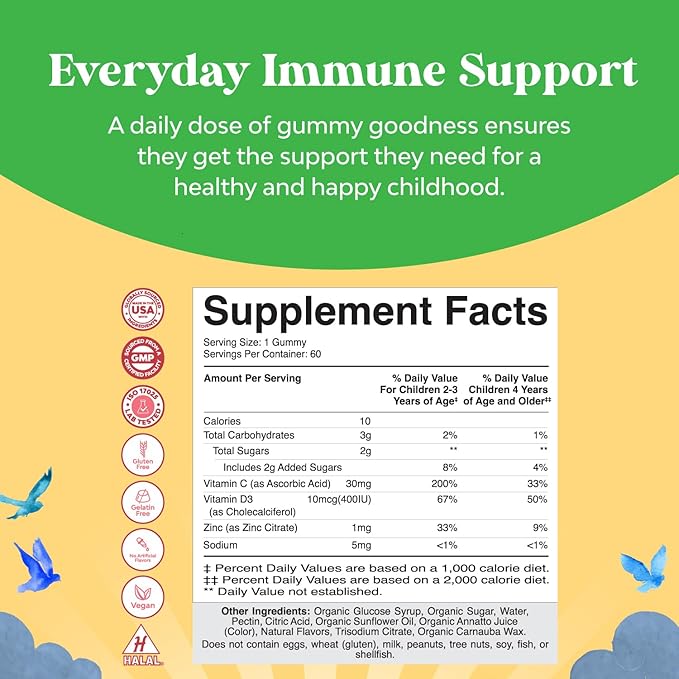 Organic Kids Immune Support Gummies - Vegan Organic Vitamin D Gummies for Kids with Vitamin C and Zinc for Kids Immunity - D3 Zinc and Vitamin C Gummies for Kids - Gluten Free & Non GMO (60 Servings)