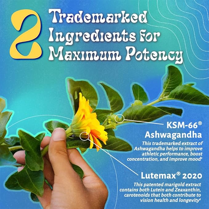 LUV Everyday™ Men’s 50+ Multivitamin - Adult Formula Daily Nutritional Support with Iron, Calcium, KSM-66 Ashwaganda, CoQ10, Lycopene, and Lutemax 2020- Vegetarian Gluten-Free & Non-GMO - 60 Capsules
