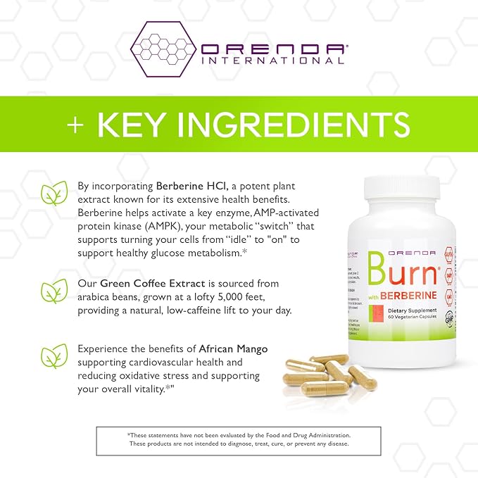 Orenda Burn - Advanced Wellness Support Supplement with Berberine HCI, Green Coffee Extract & African Mango - Promotes Healthy Weight Management, Cardiovascular Health & Energy Levels - 60 Capsules