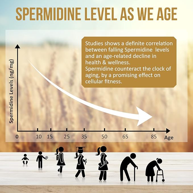 Spermidine Supplements 13mg - 1300mg Wheat Germ Extract Capsules Potent Formula with Higher Spermidine Content and Zinc for Healthy Aging, Daily Immune System and Cell Renewal (6 Pack)