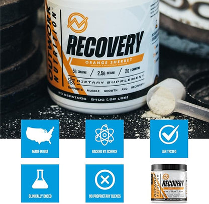 Outwork Nutrition Recovery Drink - Post Workout Recovery Powder & Creatine Monohydrate Muscle Builder for Men & Women - Creatine for Men & Women - After Workout Recovery Drink - Orange Sherbet - 230g
