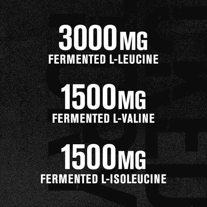 BCAA Powder (Fermented) - 6g Branched Chain Essential Amino Acid Supplement for Improved Muscle Recovery, Reduced Fatigue, Increased Strength, and Muscle Growth - 30 Servings, Fruit Punch