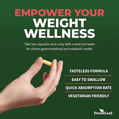 Berberine Supplement 1300mg per Serving- 97% Tested Ultra High Potency Berberine HCl with Ceylon Cinnamon, Bitter Melon & Gymnema, 10:1 Extract Berberis Supplements, Weight Management, 90 Veggie Caps