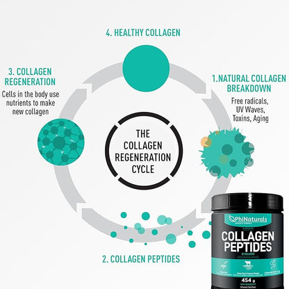 PhiNaturals Hydrolyzed Collagen Peptides Powder (unflavored) for Women and for Men - Grass Fed Bovine Beef Collagen