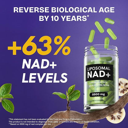 NMN Supplement Alternative - High Absorption NAD, Resveratrol, Berberine, Quercetin, Noni - Liposomal NAD Supplement for Anti Aging, Brain Support, Gut & Joint Heath - 60 Capsules