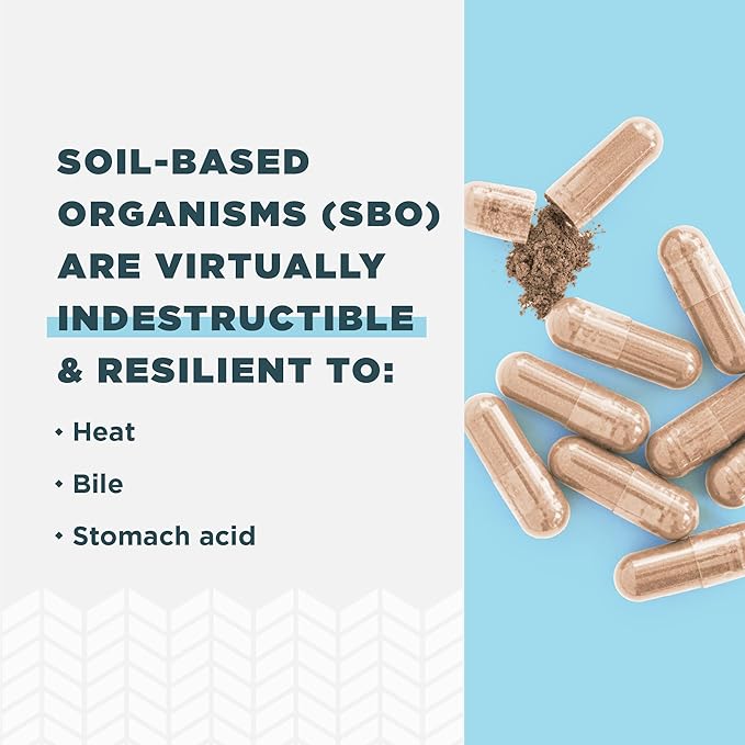 Probiotics for Immune Support by Ancient Nutrition, SBO Once Daily Probiotics with Vitamin C and Vitamin D, 30Ct for Healthy Digestion and Immune System Function Support, 25 Billion CFUs*