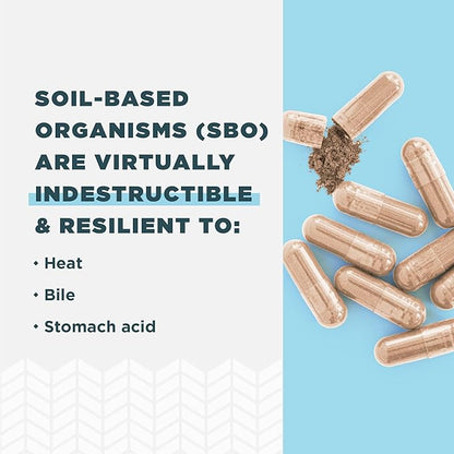 Probiotics for Immune Support by Ancient Nutrition, SBO Once Daily Probiotics with Vitamin C and Vitamin D, 30Ct for Healthy Digestion and Immune System Function Support, 25 Billion CFUs*