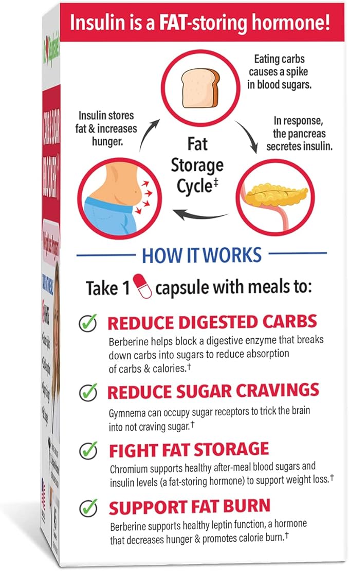 Dr. Stephanie's Bundle Pack - 24 Hour Support + Carb & Sugar Blocker - Daily Supplement