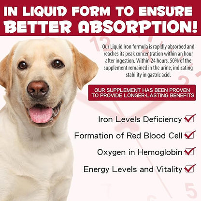 Liquid Iron Drops for Dogs, Liquid Iron Supplements for Dogs Supports Anemia, Promotes Blood Health, Improve Low Enery Levels and Lethargy - Pet Supplies Dog Vitamins - 60 ml/Caramel Flavor