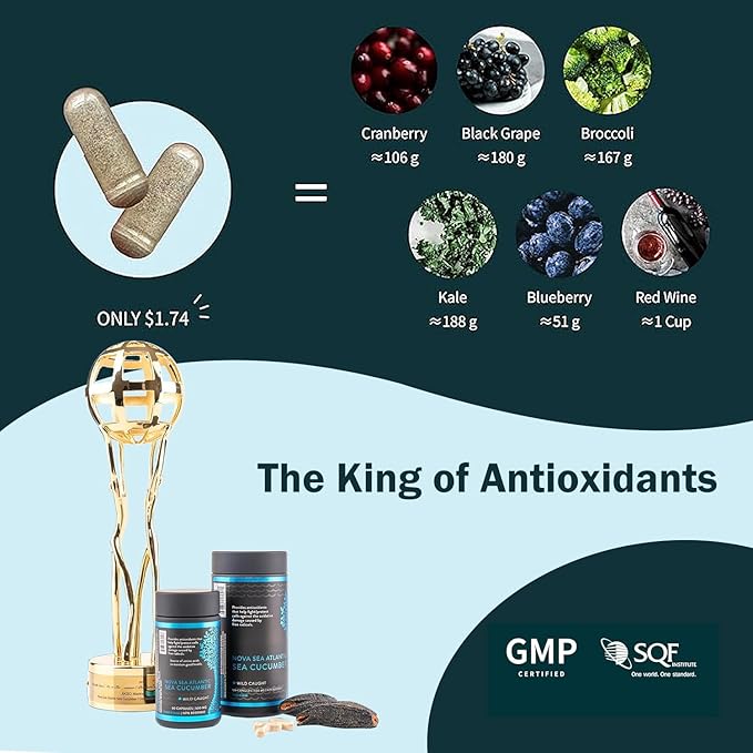 Sea Cucumber Supplement, Wild Caught Sea Cucumber Capsules with Fucosylated Chondroitin Vitamins Mineral — Natural Antioxidant Supplement for Elderly Adult Child (60 Capsules)