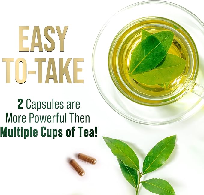 Green Tea Extract Capsules 1000mg 98% Standardized EGCG - 3X Strength for Natural Energy - Heart Support with Polyphenols - Gentle Caffeine - 60 Capsules