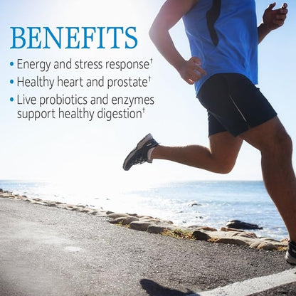 Garden of Life Vitamin Code Raw One for Men, Once Daily Multivitamin for Men, One a Day Mens Vitamins Plus Fruit, Veggies & Probiotics for Mens Health, Vegetarian Mens Multivitamins, 30 Capsules