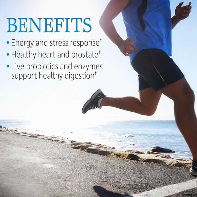 Garden of Life Vitamin Code Raw One for Men, Once Daily Multivitamin for Men, One a Day Mens Vitamins Plus Fruit, Veggies & Probiotics for Mens Health, Vegetarian Mens Multivitamins, 30 Capsules