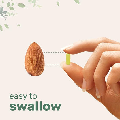 Micro Ingredients Quercetin with Vitamin C and Zinc, 240 Capsules | Quercetin 500mg, Vitamin C 500mg, Zinc 50mg (Picolinate, Citrate, Glycinate, Gluconate) | Complete Immune Support Supplements