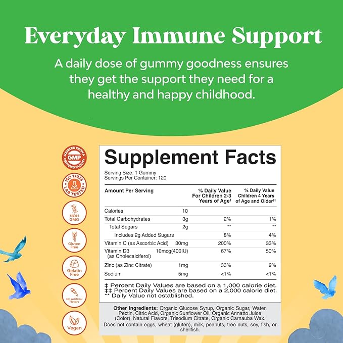Organic Kids Immune Support Gummies - Vegan Organic Vitamin D Gummies for Kids with Vitamin C and Zinc for Kids Immunity - D3 Zinc and Vitamin C Gummies for Kids - Gluten Free & Non GMO (120 Servings)