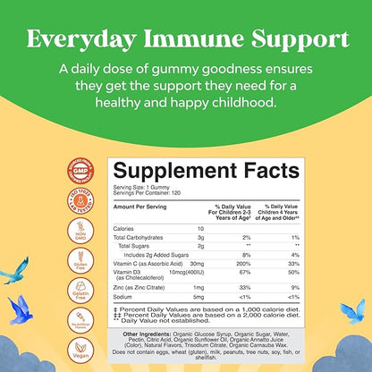 Organic Kids Immune Support Gummies - Vegan Organic Vitamin D Gummies for Kids with Vitamin C and Zinc for Kids Immunity - D3 Zinc and Vitamin C Gummies for Kids - Gluten Free & Non GMO (120 Servings)