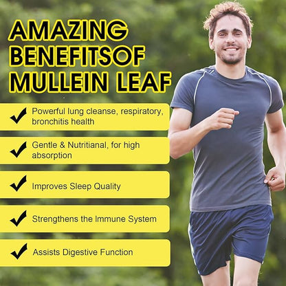 Mullein Drops for Lungs - Mullein Leaf Extract for Lungs - Mullein Leaf Extract - Lung Detox for Smokers-Mullins Detox Lungs for Lung Cleanse, Respiratory - 2 fl oz